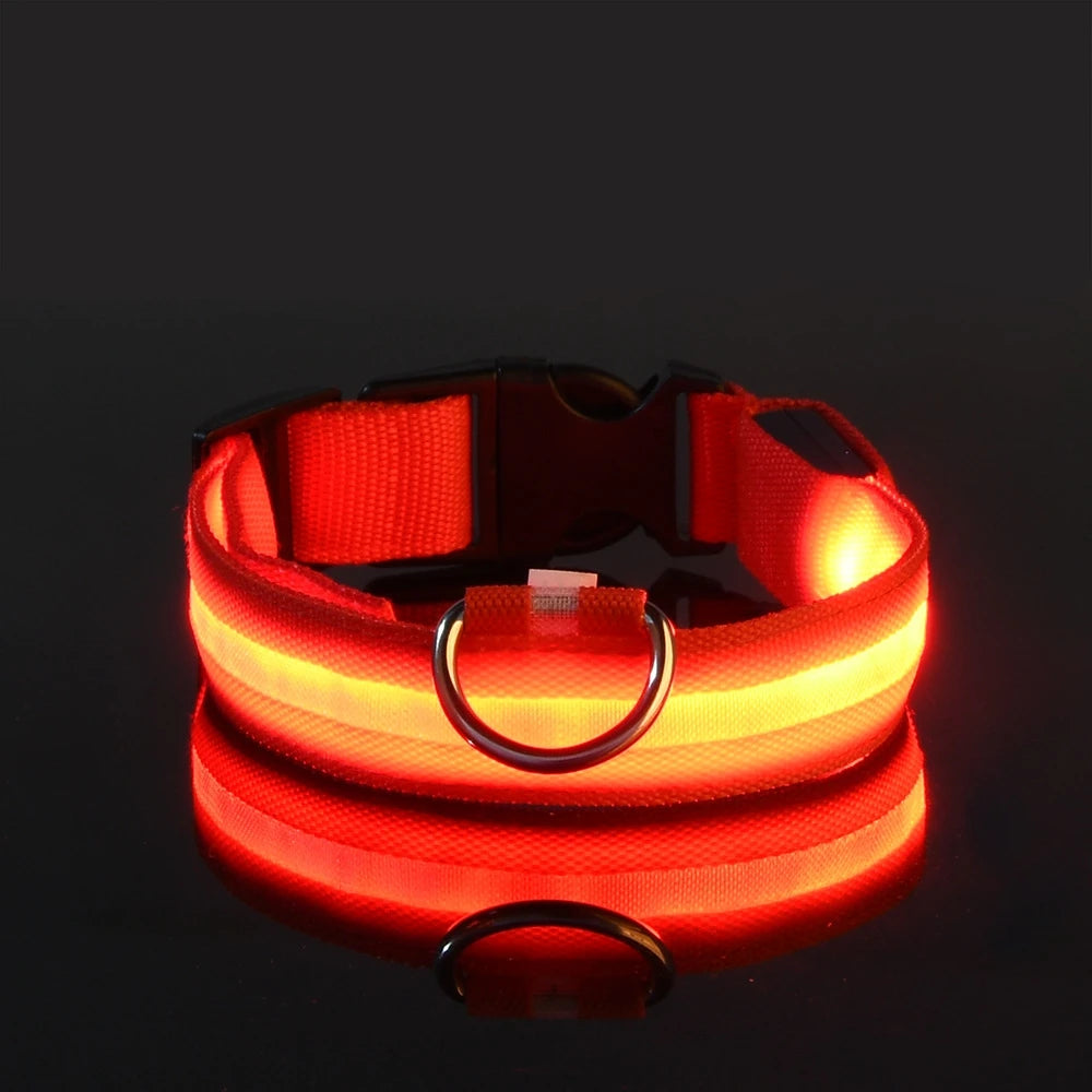 LumaLead – LED Night Safety Dog Leash