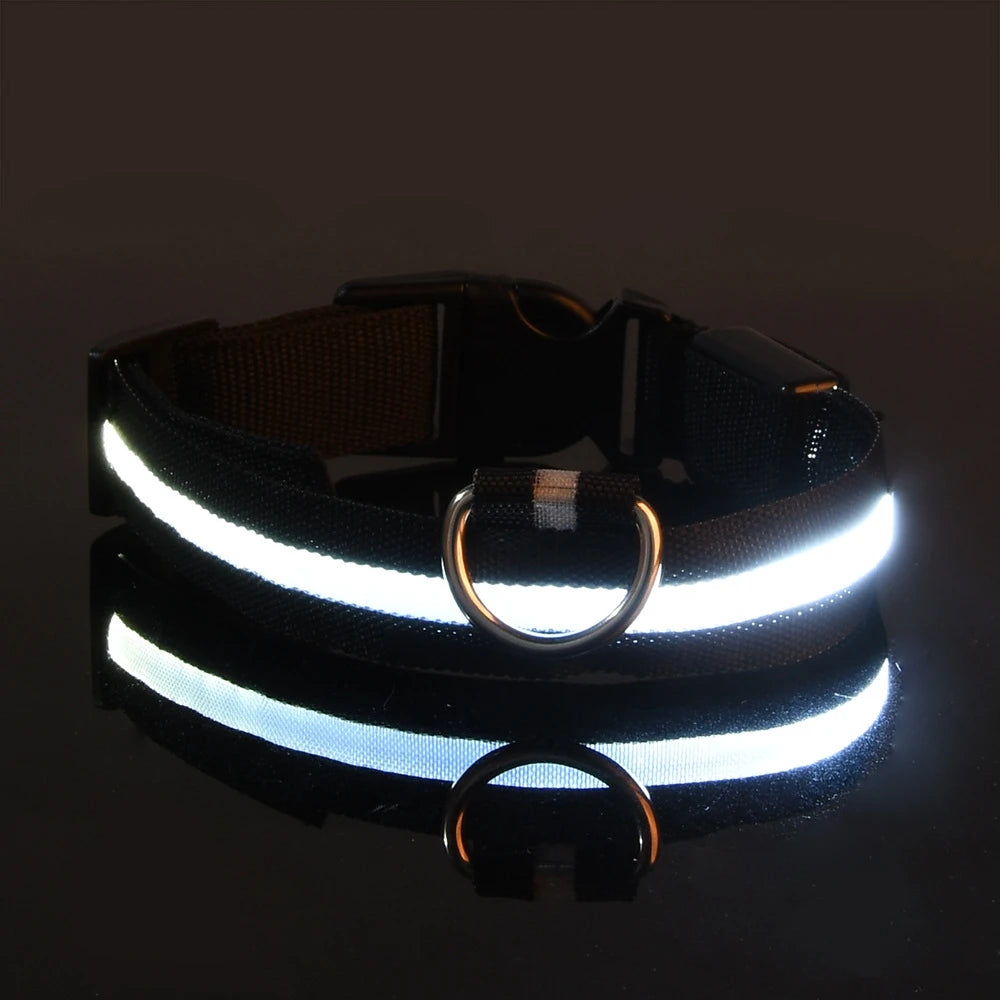 LumaLead – LED Night Safety Dog Leash