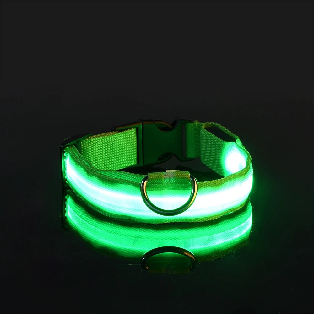 LumaLead – LED Night Safety Dog Leash