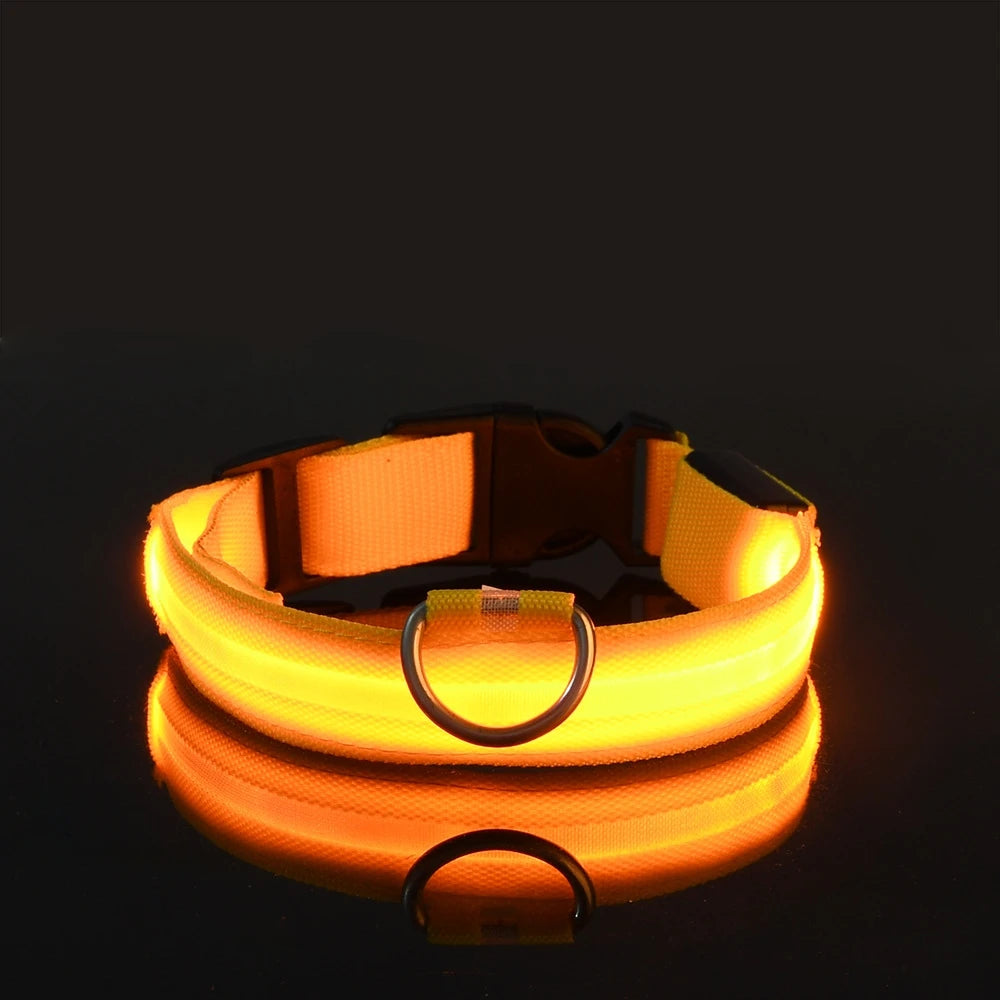 LumaLead – LED Night Safety Dog Leash