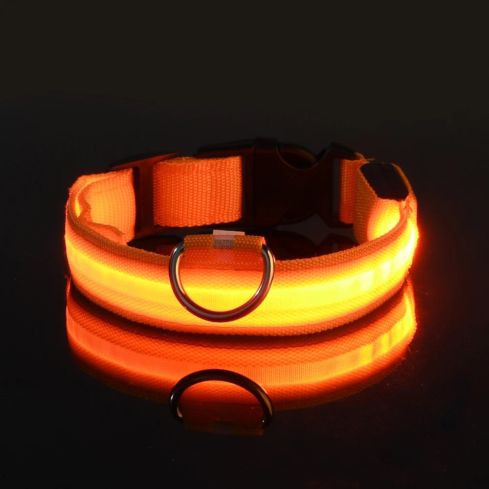 LumaLead – LED Night Safety Dog Leash