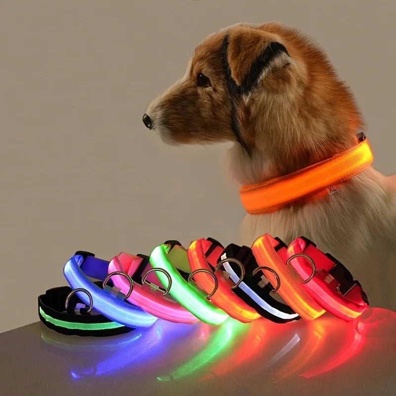 LumaLead – LED Night Safety Dog Leash