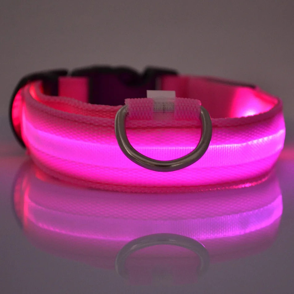 LumaLead – LED Night Safety Dog Leash
